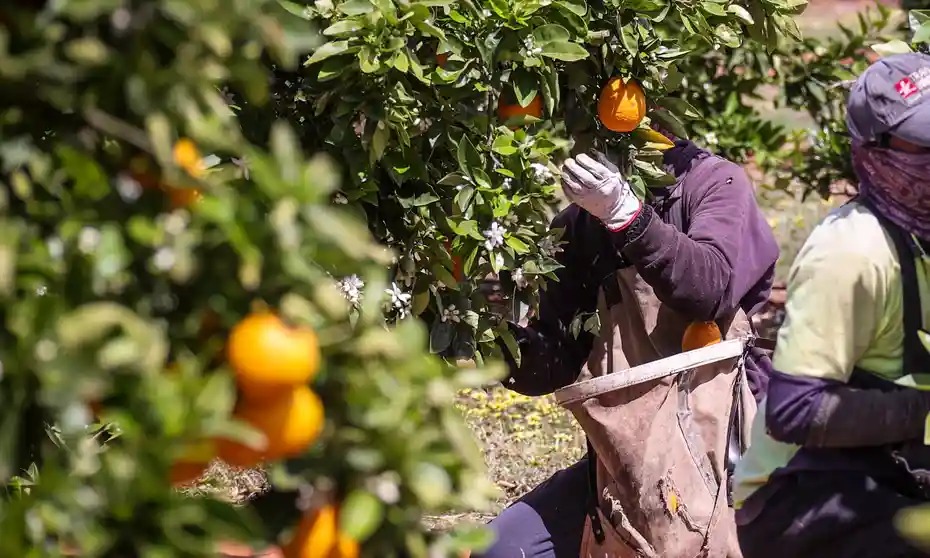 image-20220404103743-1