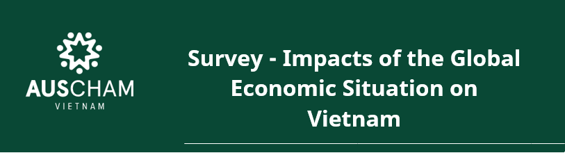 image-20220811154230-1