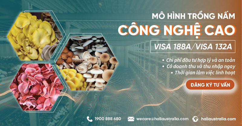 image-20221102130902-3