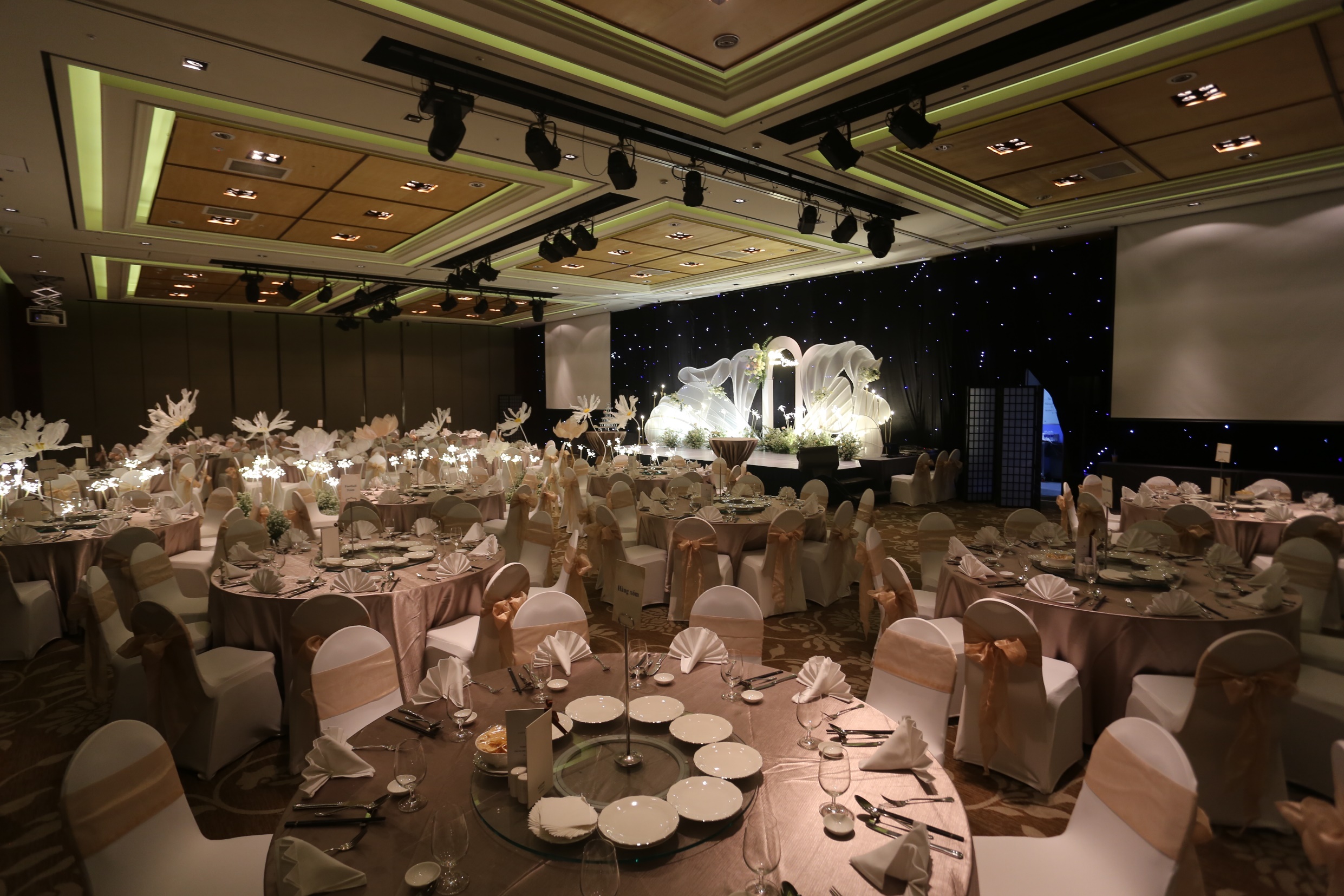 image-20230601112824-6