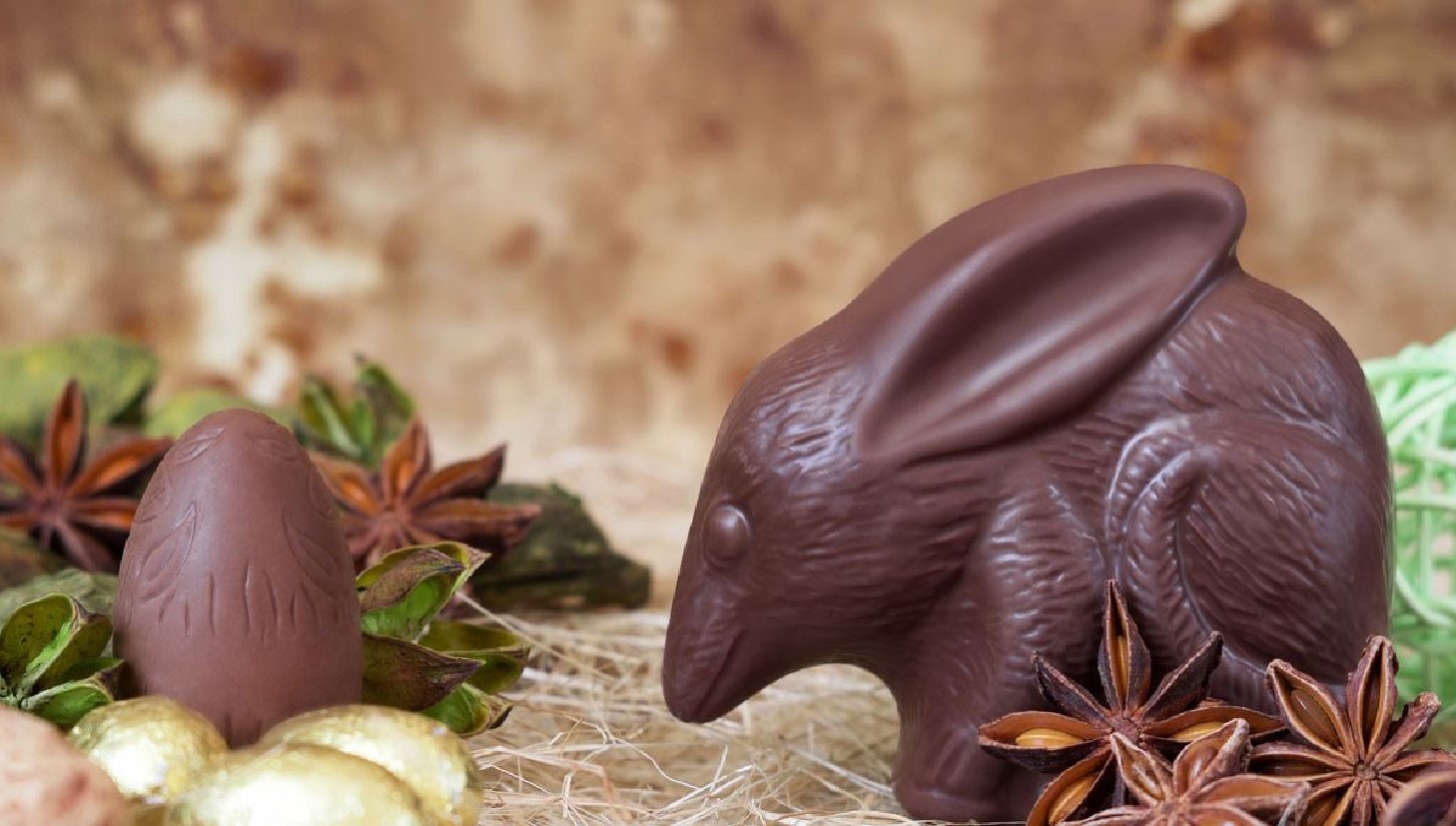 image-20240327182854-1